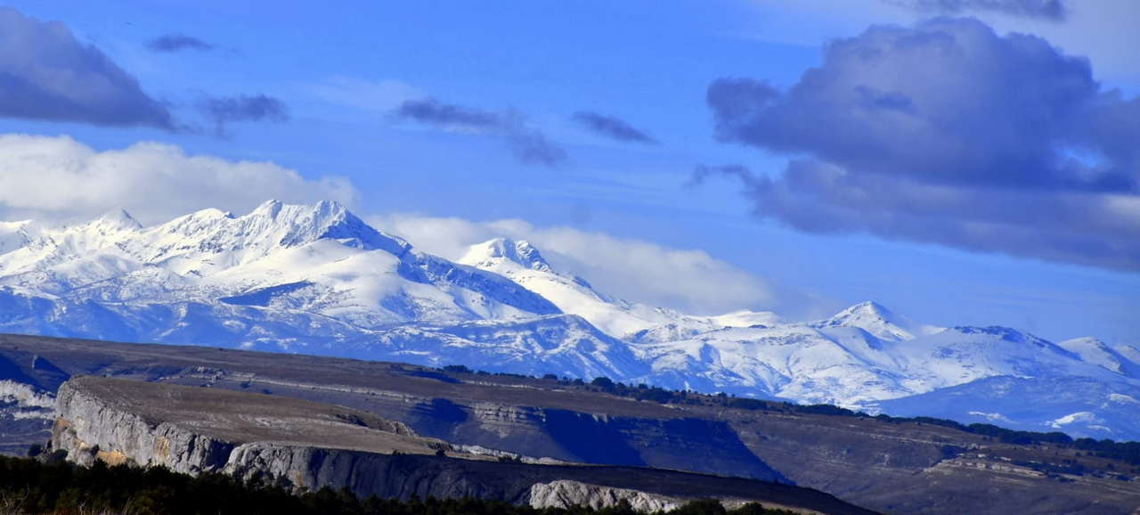 WhatsApp Image 2026-02-09 at 20.29.03 (4)